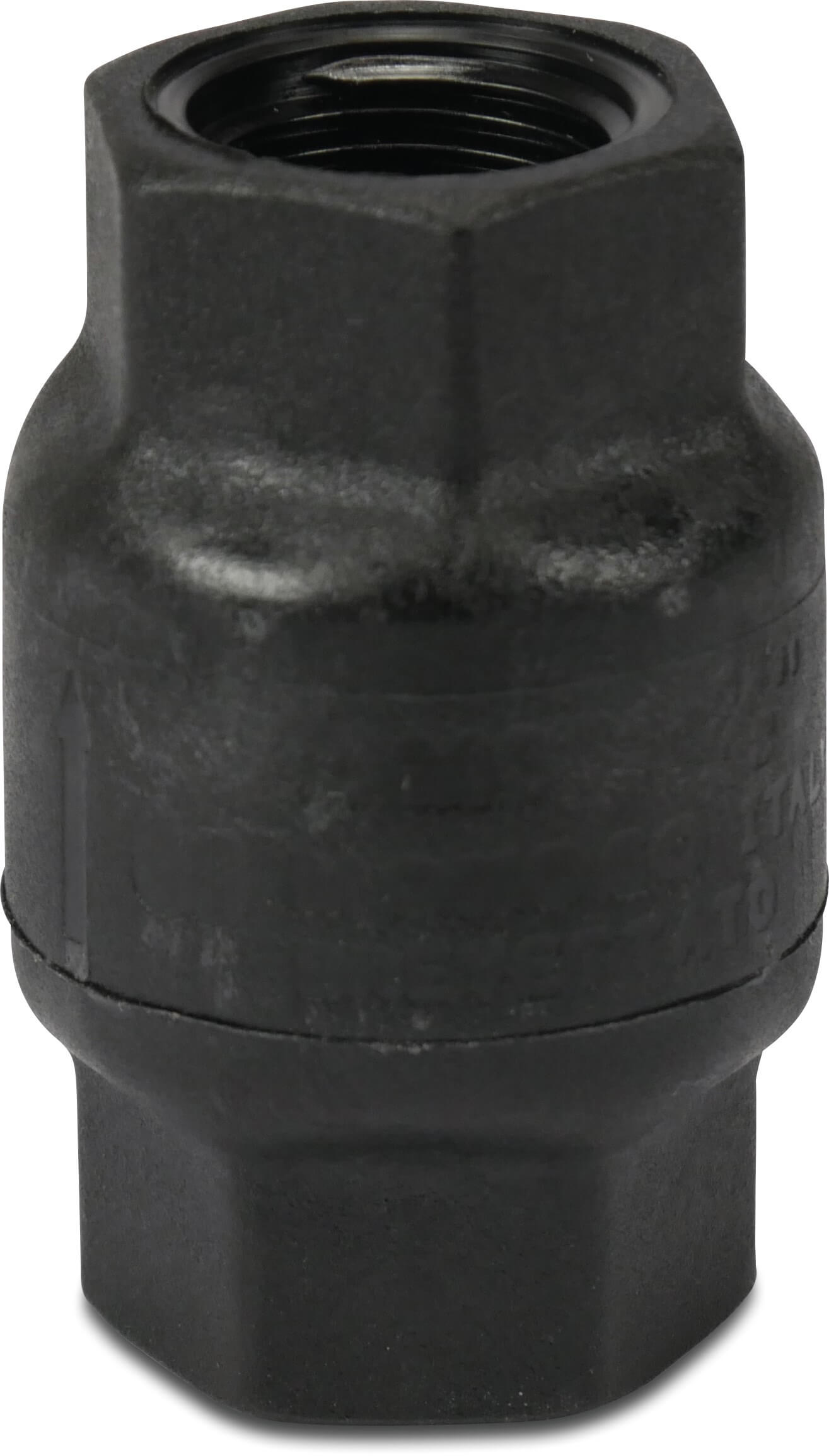 Non return valve PA glass fibre reinforced 1/2" female thread 8bar black type Amita