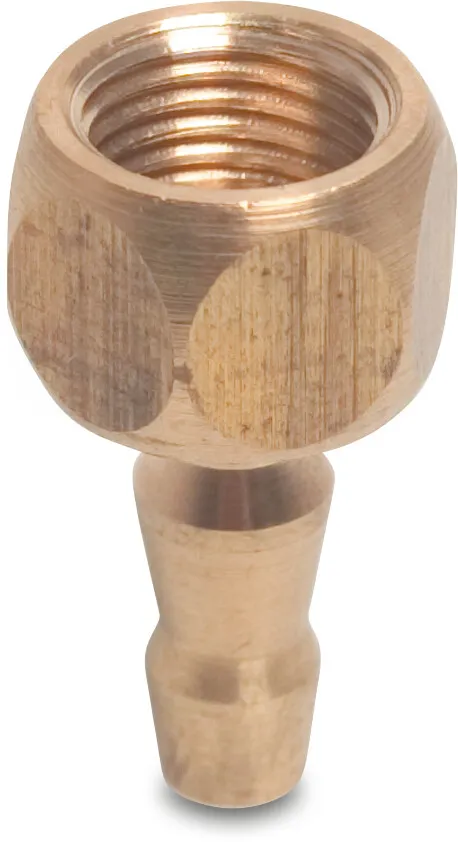 Profec Embout de tuyau laiton 1/4" x 8 mm filetage femelle x embout