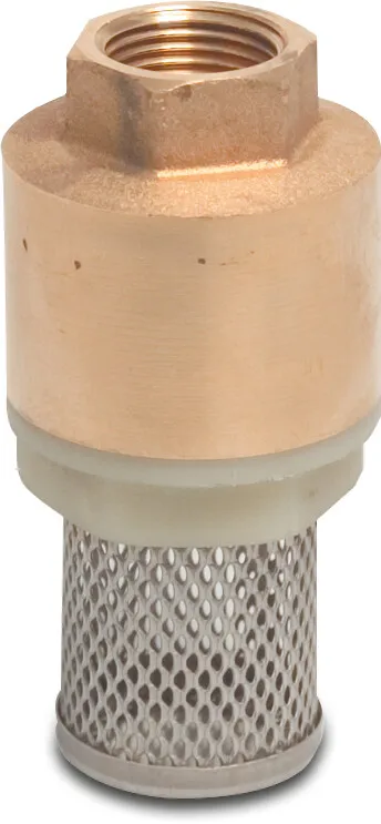 Profec Federbelastetes Fußventil Messing 1" Innengewinde 10bar DN25 Edelstahl 304