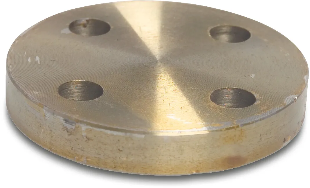 Profec Blind flange steel DN50 DIN flange 16bar PN16