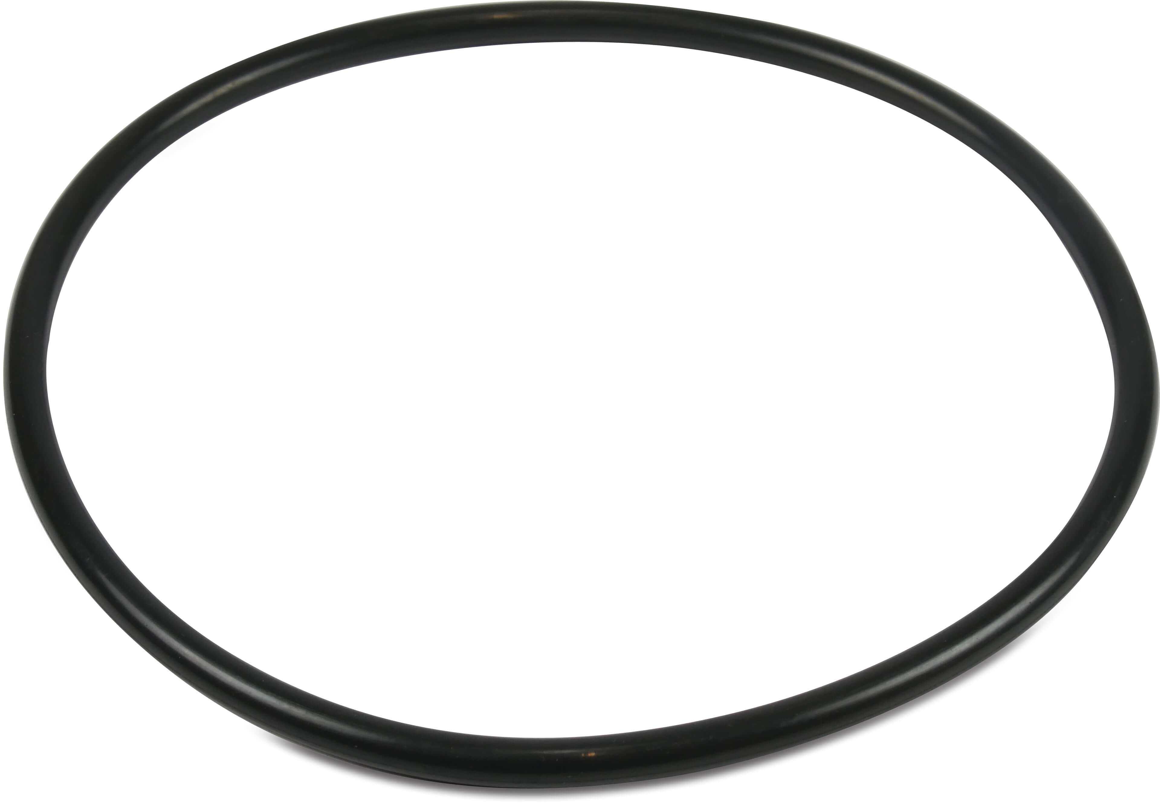 Sta-Rite O-Ring für Deckel 5PXF/Intelliflo/SW5P6R-VSD R355051440