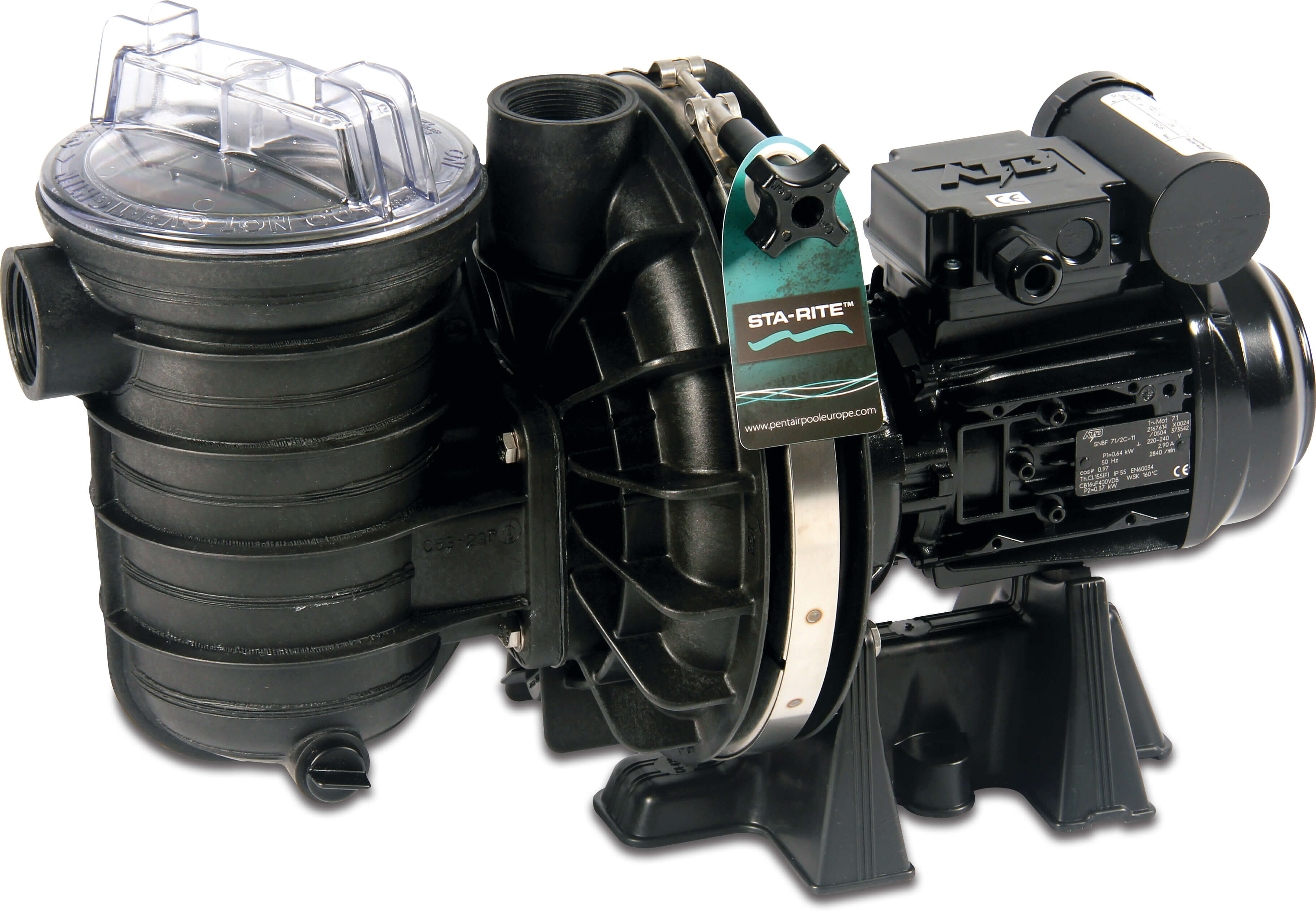 Sta-Rite Schwimmbadpumpe 1 1/2" Innengewinde 230VAC Schwarz Typ P-STR-101 1PS