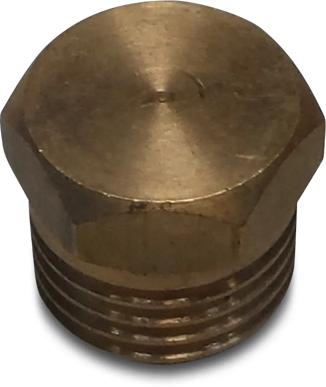 Brass plug 1/4"