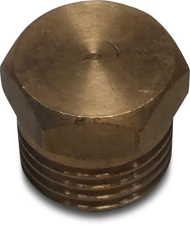 Brass plug 1/4"