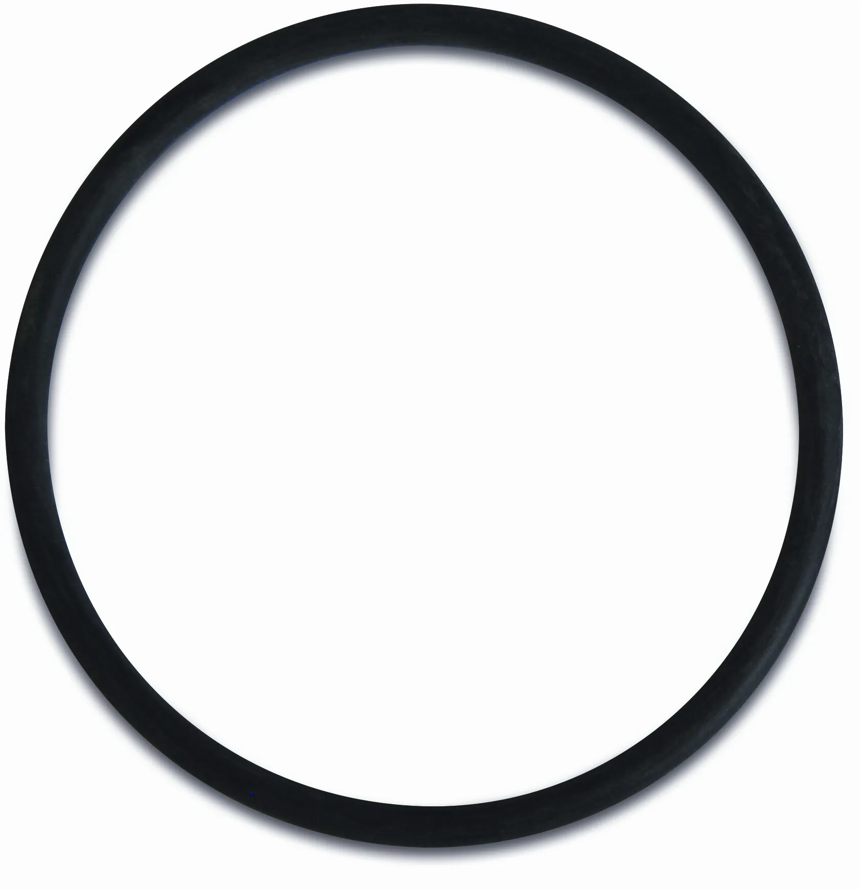 Profec O-ring voor cartridgefilter 1 1/4" - 1 1/2""