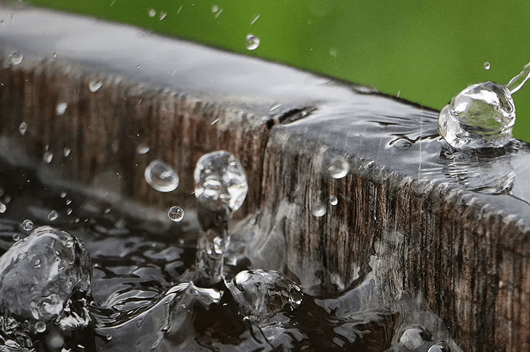 Rainwater harvesting