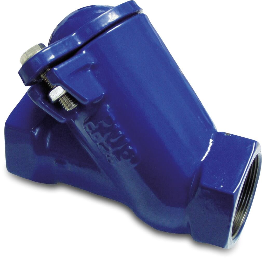 Profec Non return valve ductile iron (GGG40) epoxy coating 1" female thread 10bar blue