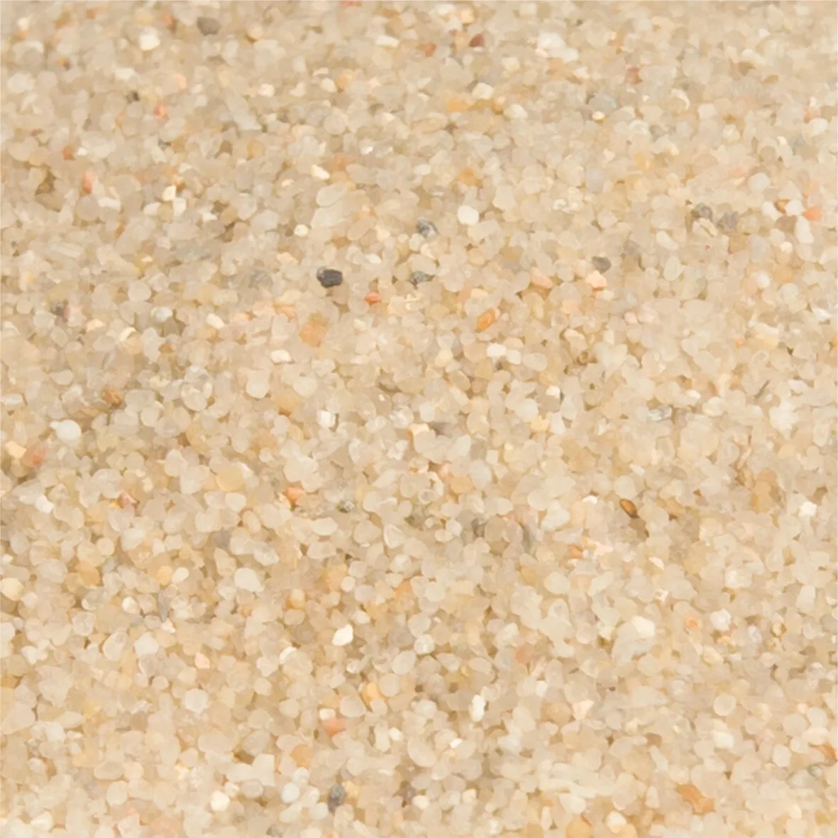 Flotide Filtergrus
