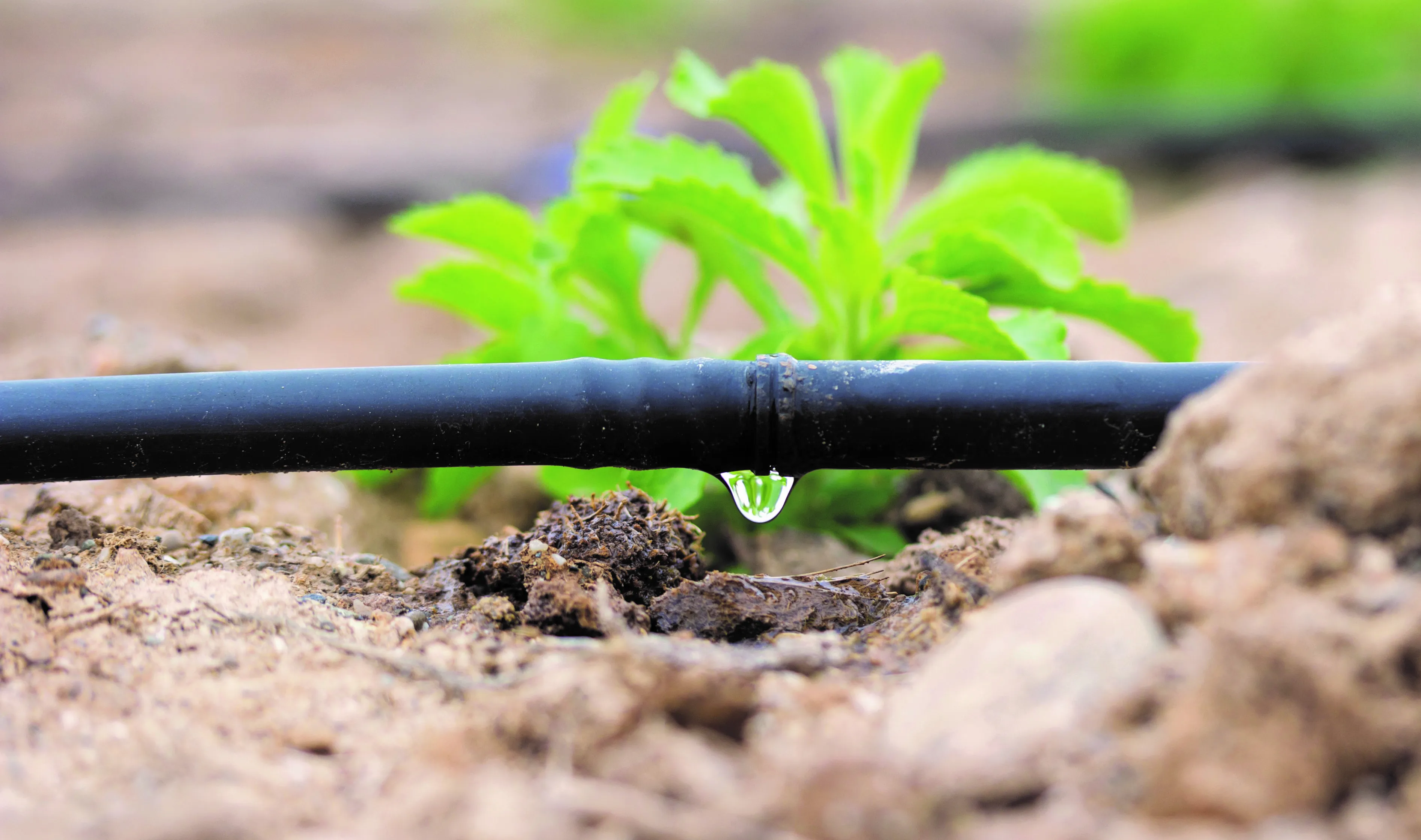 Recycling Tropfsystems