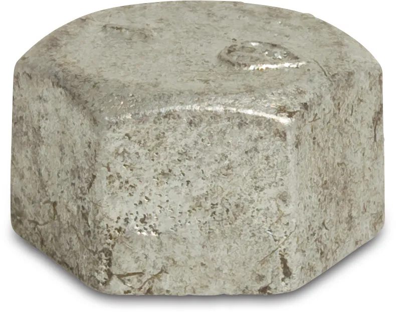 Profec Nr. 300 Hexagon cap cast iron galvanised 1" female thread 25bar DVGW