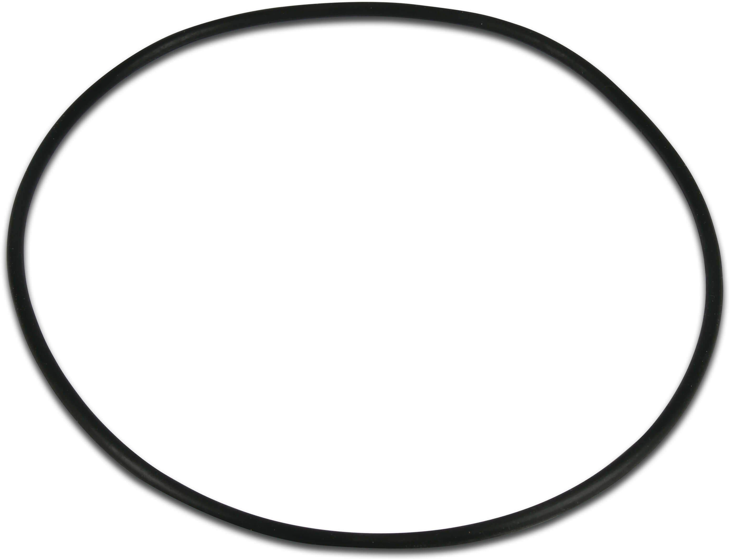 O-ring pumpehus til PSH-poolpumpe Mini
