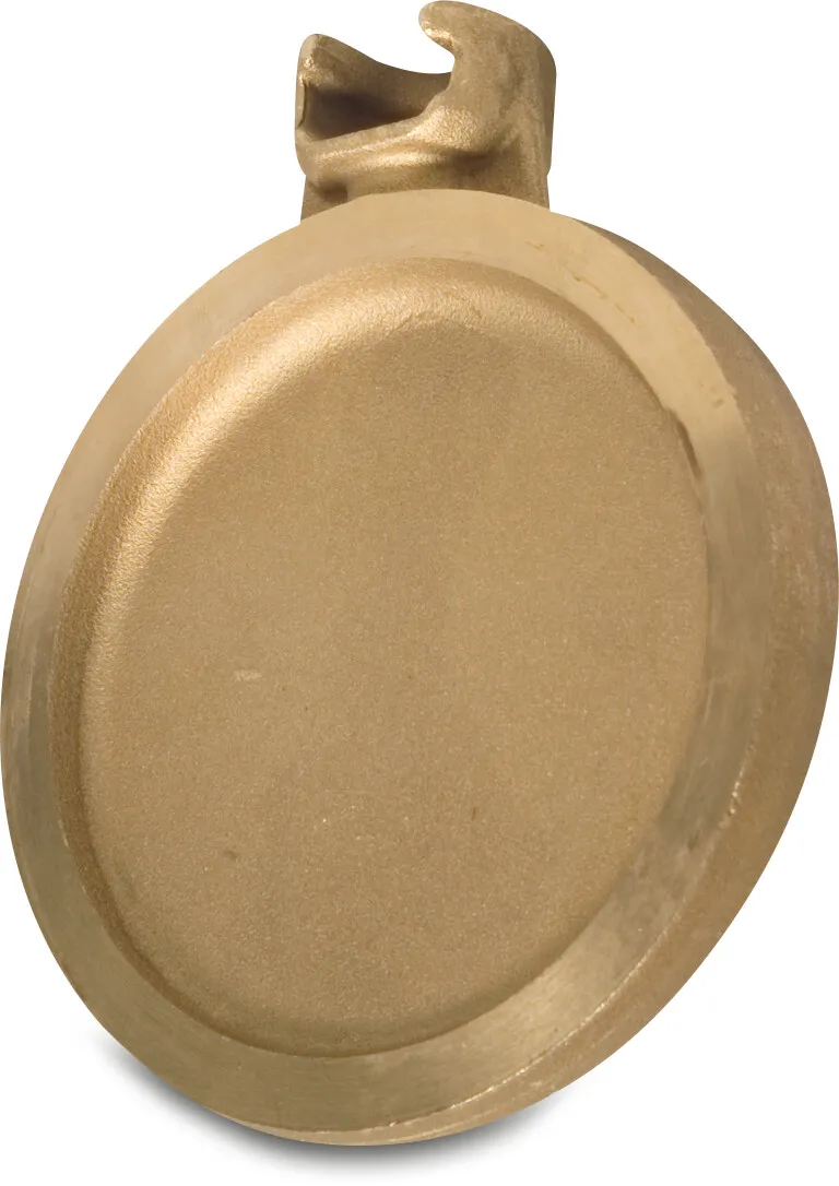 MZ Valve gate brass 6"