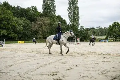 Horse arenas