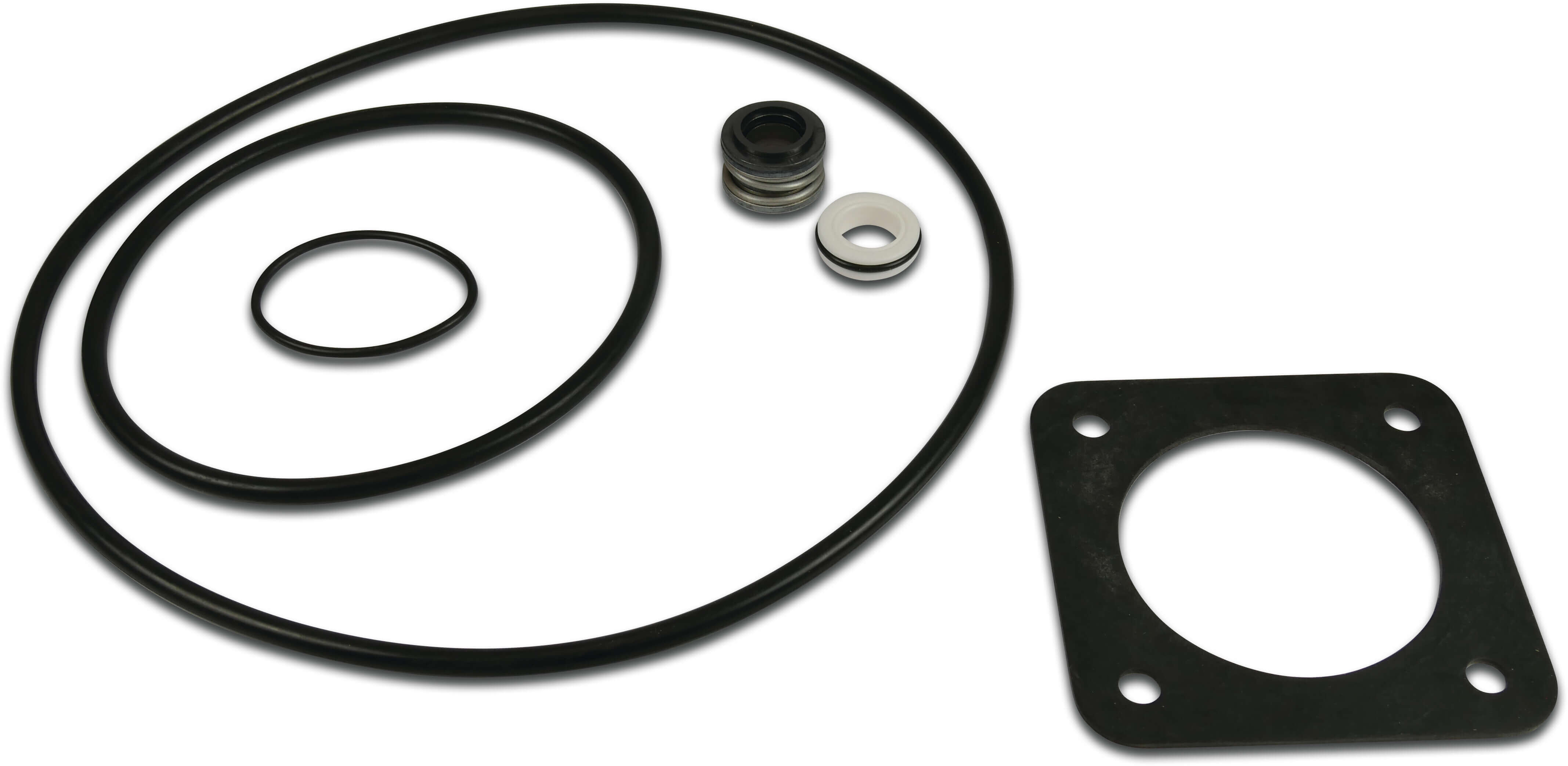 Sta-Rite Seal set (O-ring 3x, mechanical seal, gasket) SW5P6R/5P2R PP1000