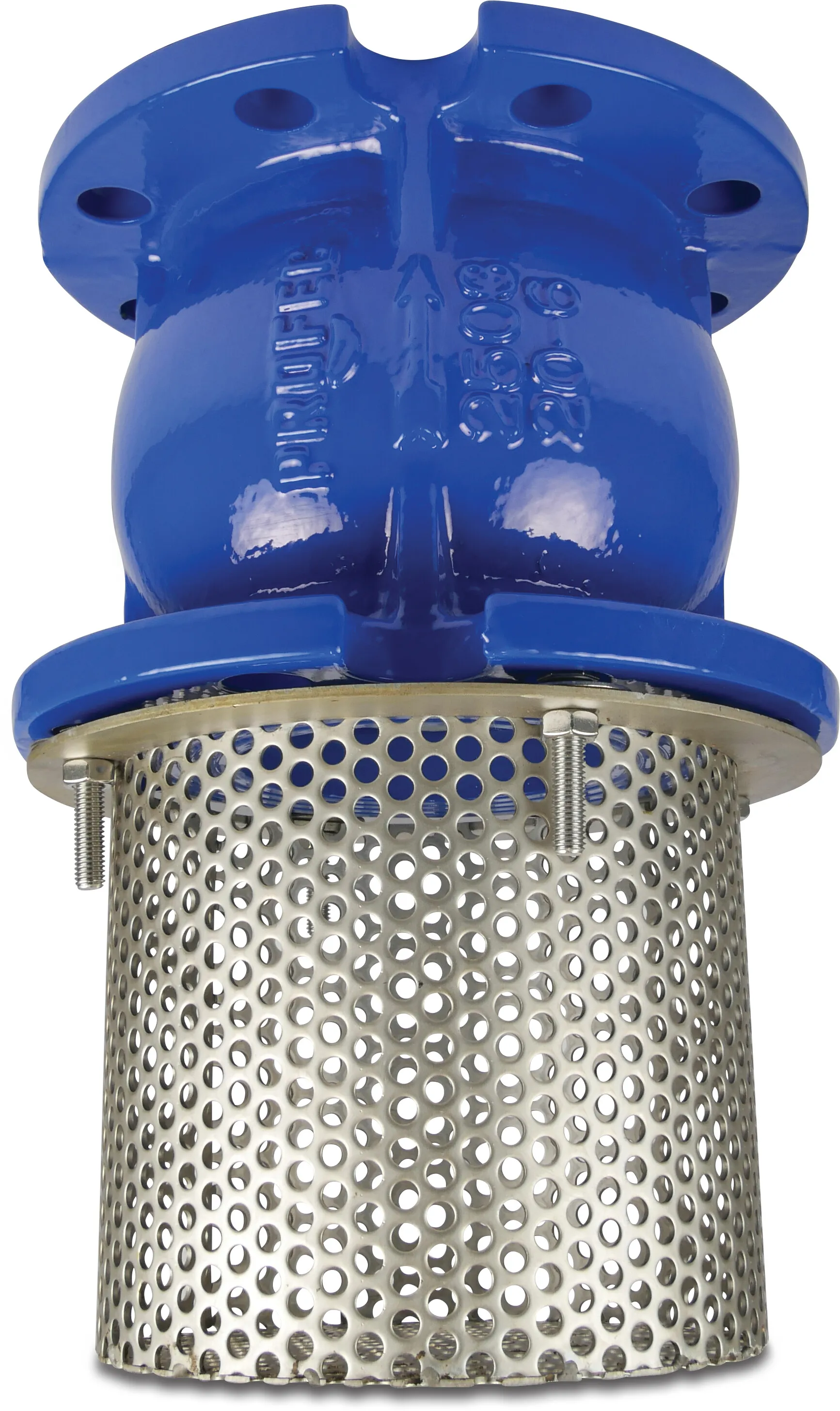 Profec Foot valve cast iron GG 25 DN100 DIN flange 16bar DN100 stainless steel 304 blue PN10/16