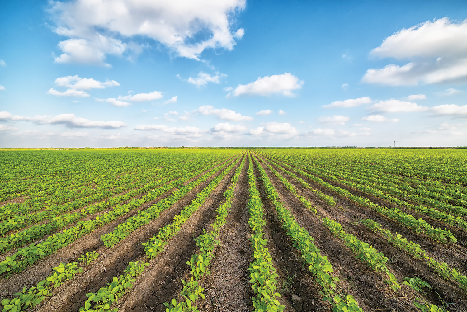 Agricultural irrigation