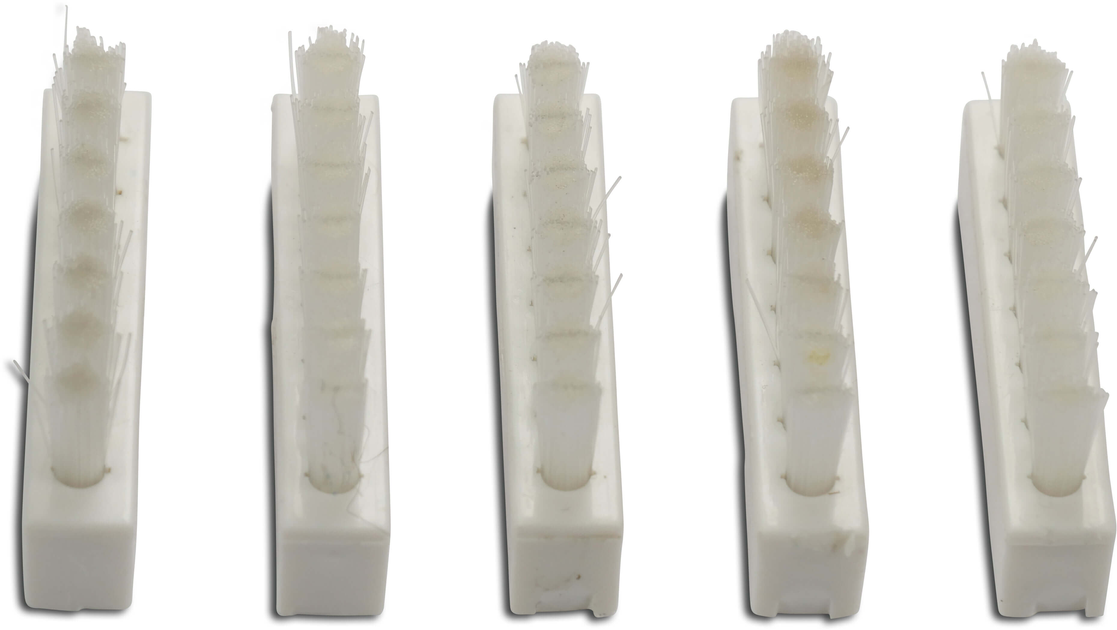 Bürstensatz 6 Stück Typ Catfish, Max, Max CG