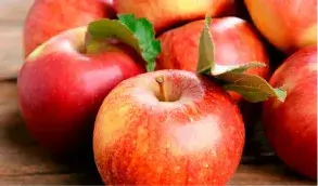 Apple irrigation