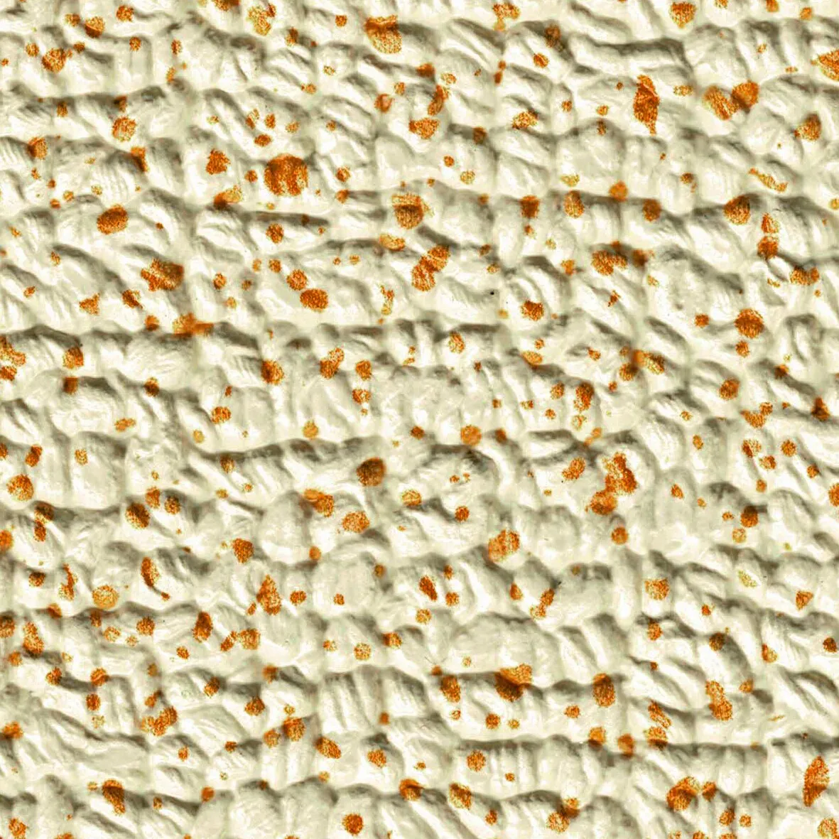 Elbe Exclusive Line Zwembadfolie PVC 20m type Island Dreams Aruba 1.60m