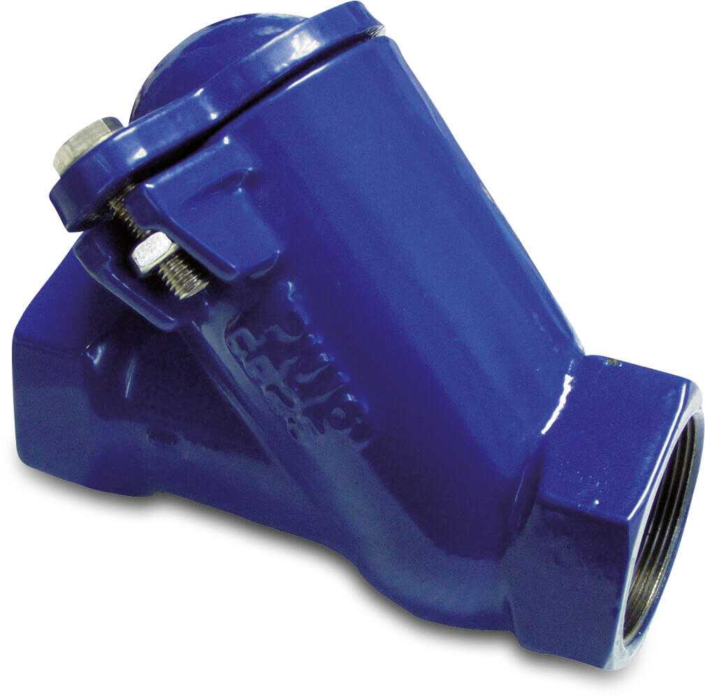 Profec Non return valve ductile iron (GGG40) epoxy coating 2" female thread 10bar DN50 blue