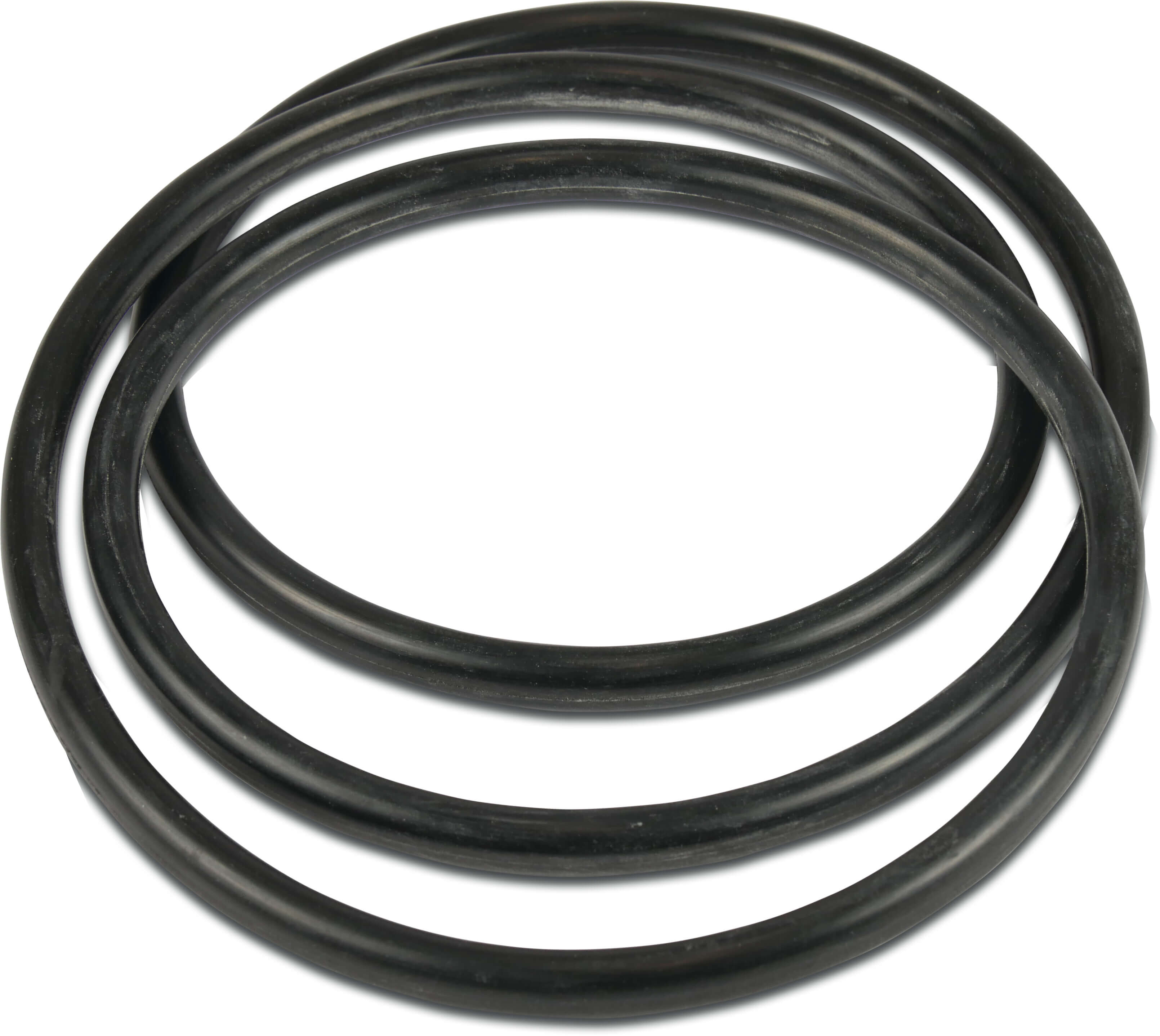 Lid O-Ring