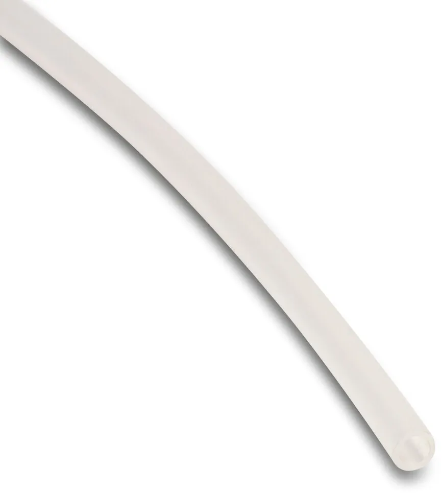 Wąż