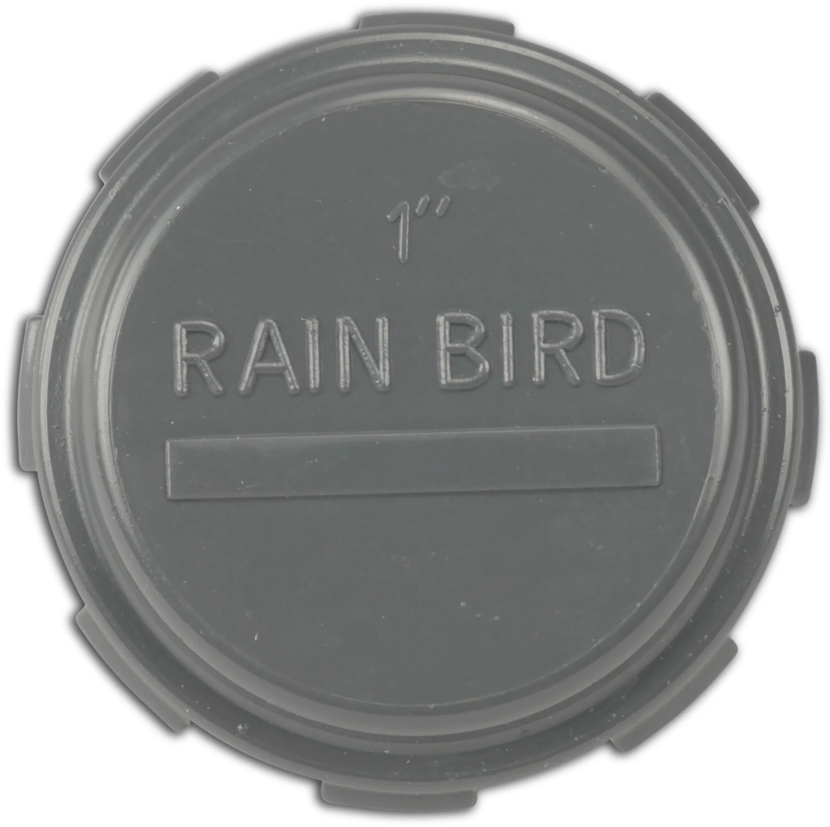 Rain Bird Eindkap PVC 1" binnendraad 10bar grijs