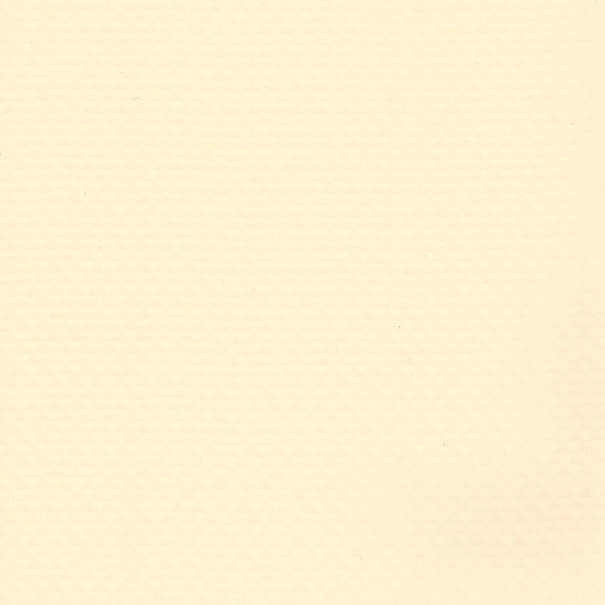 Elbe Basic Line Dammliner sand 25m type Natural Supra 1.65m