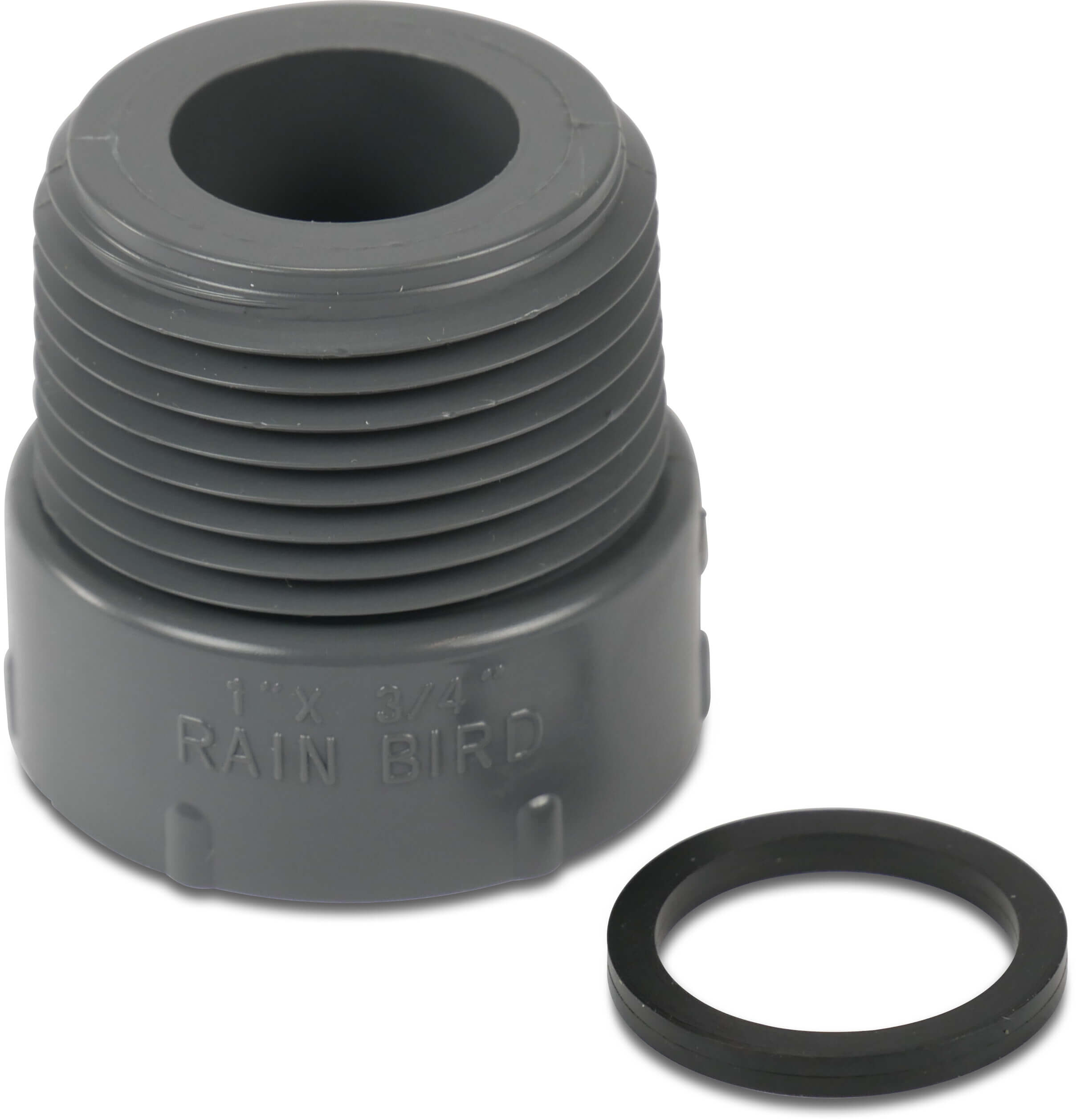 Rain Bird Verschraubung PVC 1" x 3/4" Außengewinde x Innengewinde 10bar Grau Typ RB1239-131