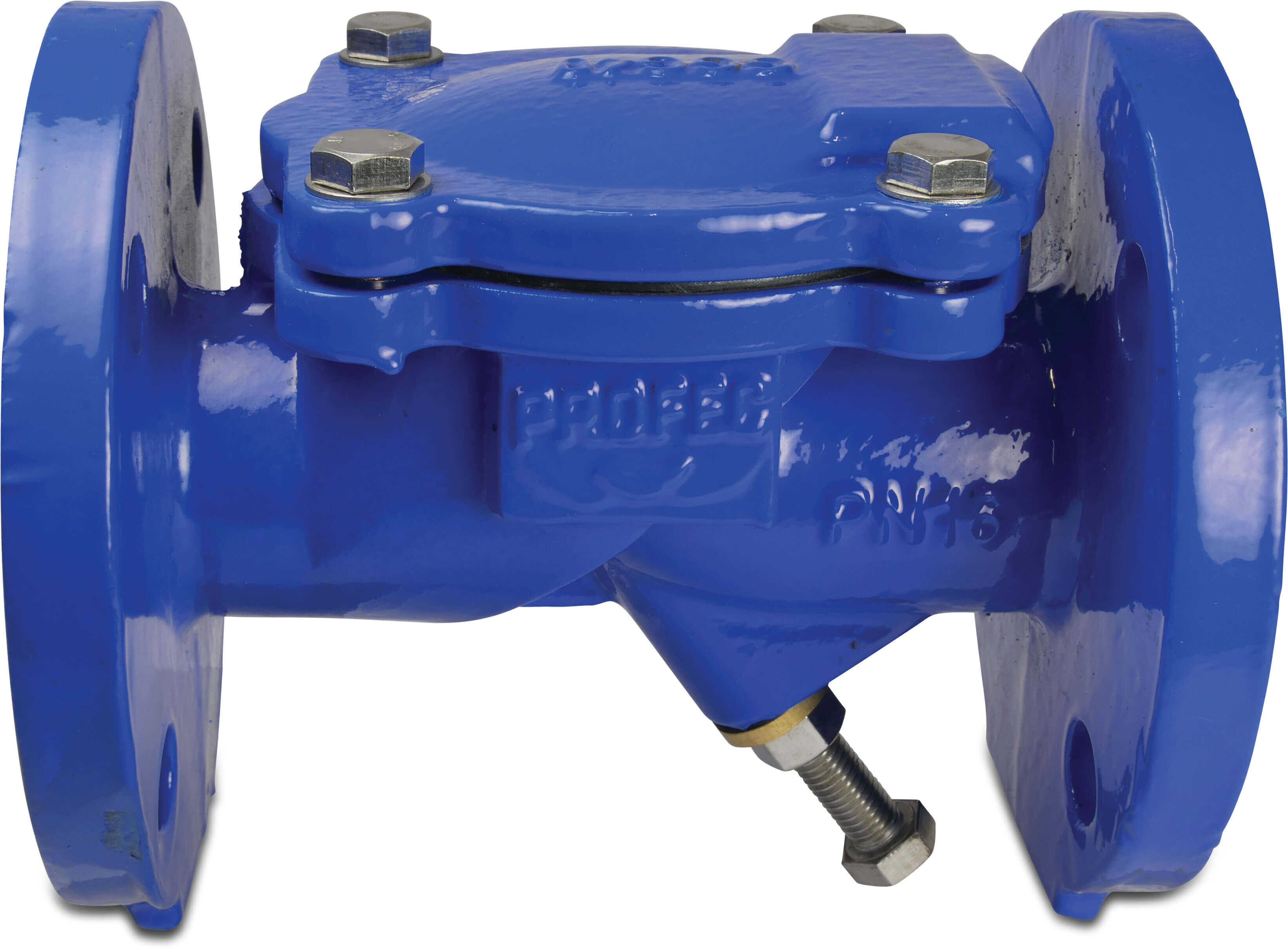 Profec Swing check valve with lifting device ductile iron (GGG40) epoxy coating DN80 DIN flange 16bar DN80 blue PN10/16