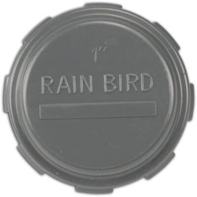 Rain Bird Cap PVC 10bar female thread grey