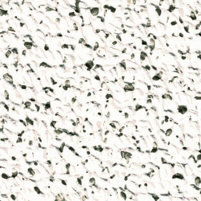 Elbe Exclusive Line Pool liner PVC Island Dreams 