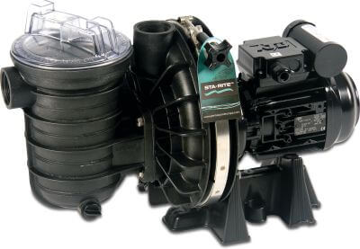 Sta-Rite Pool pump female thread black