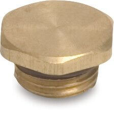 Profec Plug brass 10 bar male thread