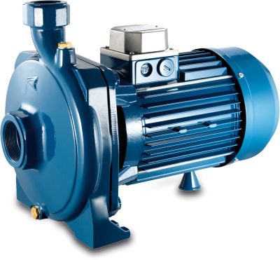 Foras Centrifugal pump cast iron 8 bar female thread blue