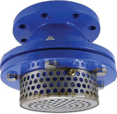 Profec Foot valve cast iron GG 25 16bar DIN flange blue