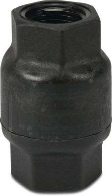Non return valve PA glass fibre reinforced 6bar female thread black Amita