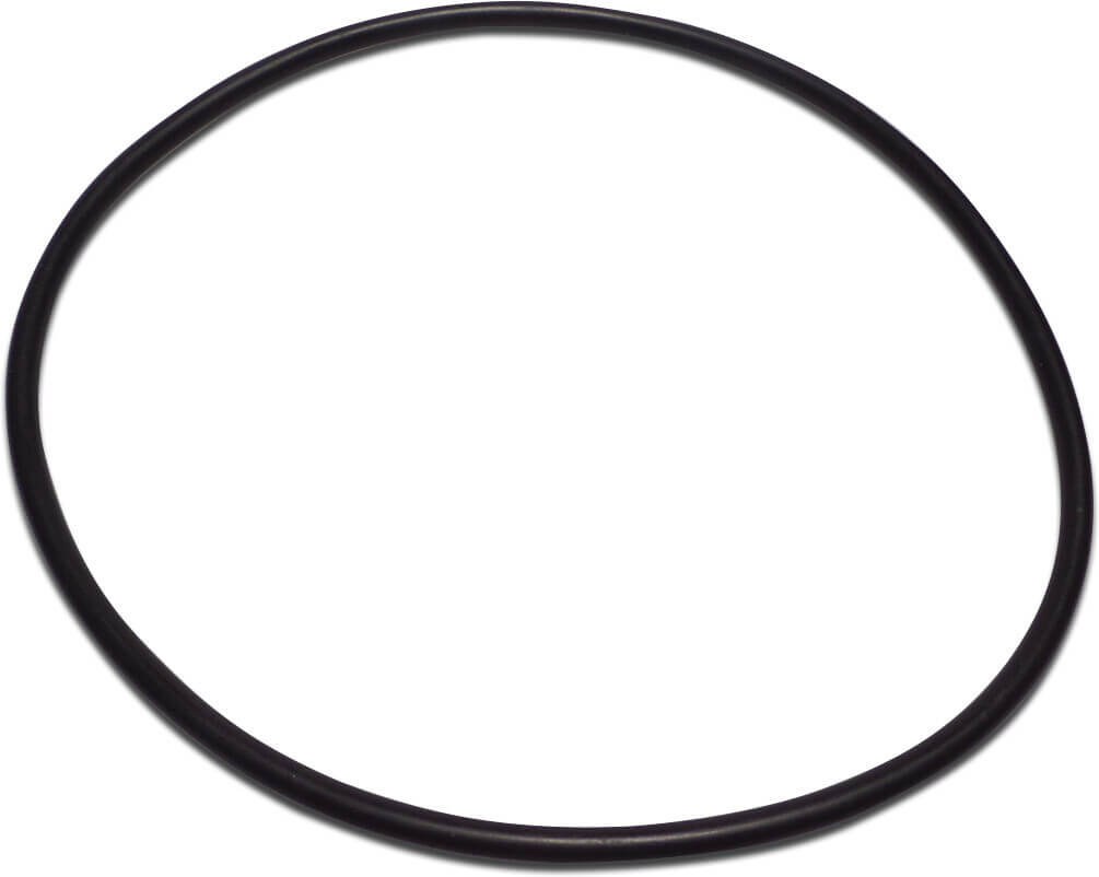 Pentair O-Ring für 30"-Filter Tagelus/Tagelus II R250001