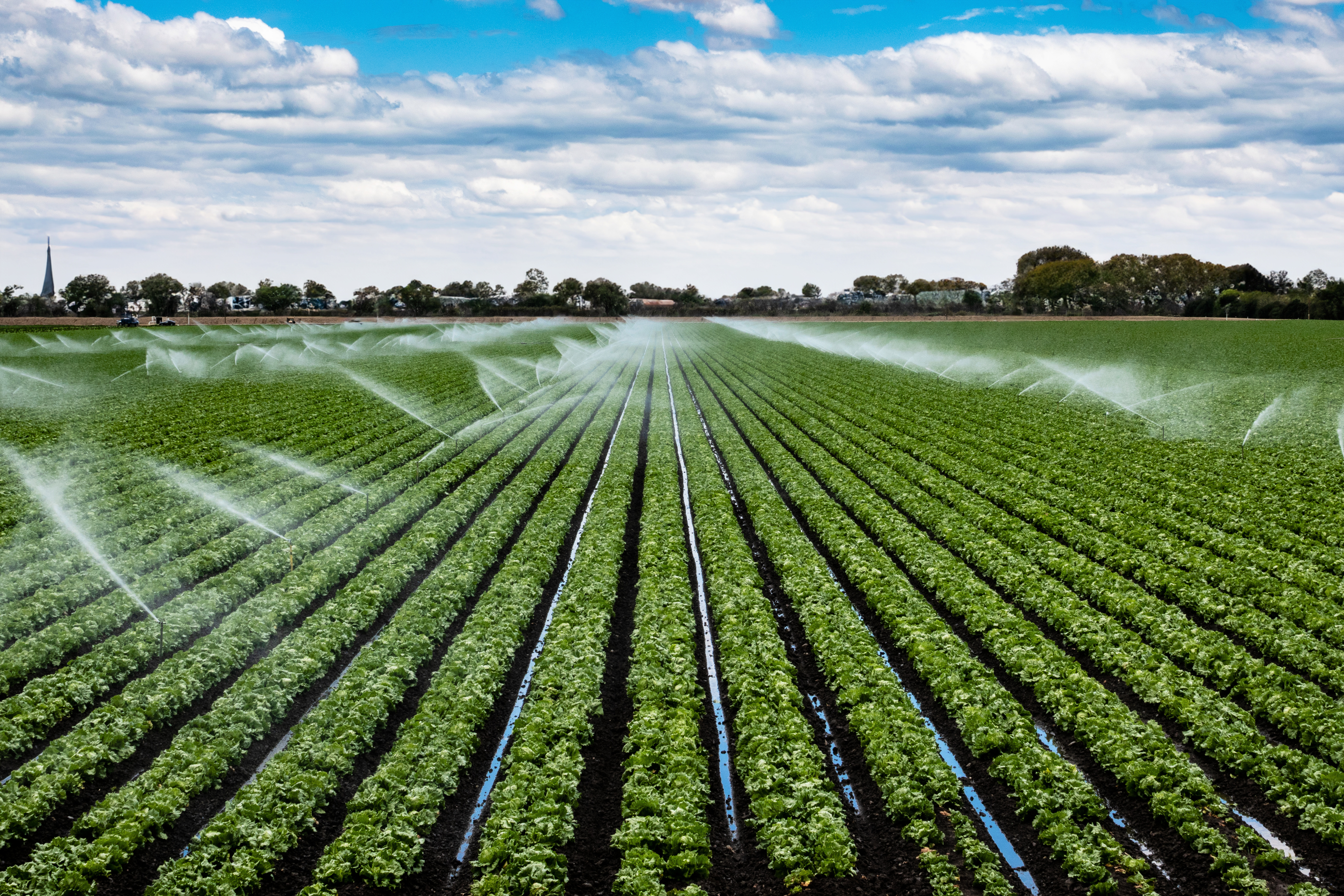Agricultural irrigation