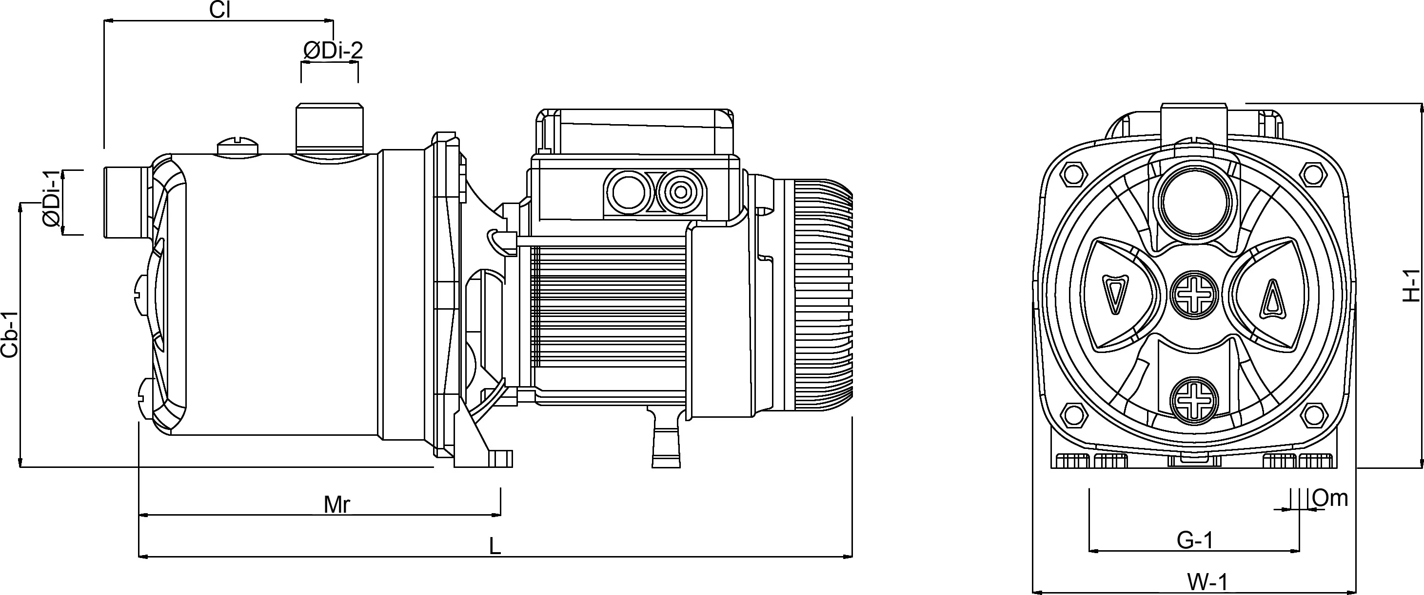 DAB Jet pump stainless steel 304 1" female thread 8bar 6,2A 230VAC green self-priming with press control type JETINOX 112 Control D