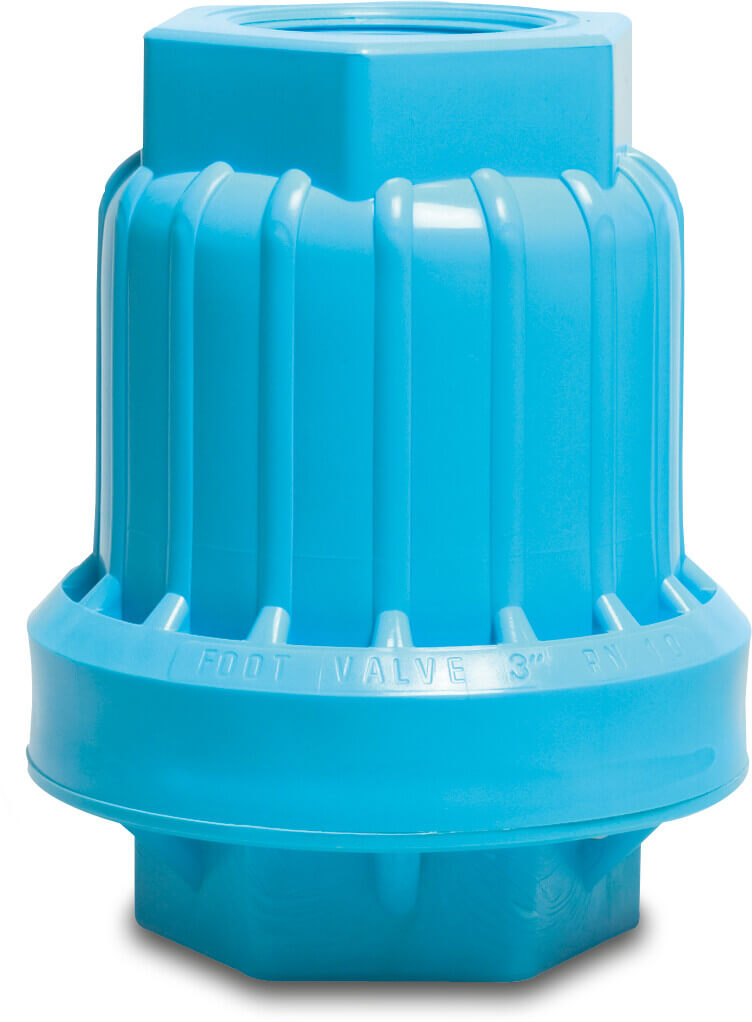 Non Return Valve PP 4" female thread 8bar blue type 02-100