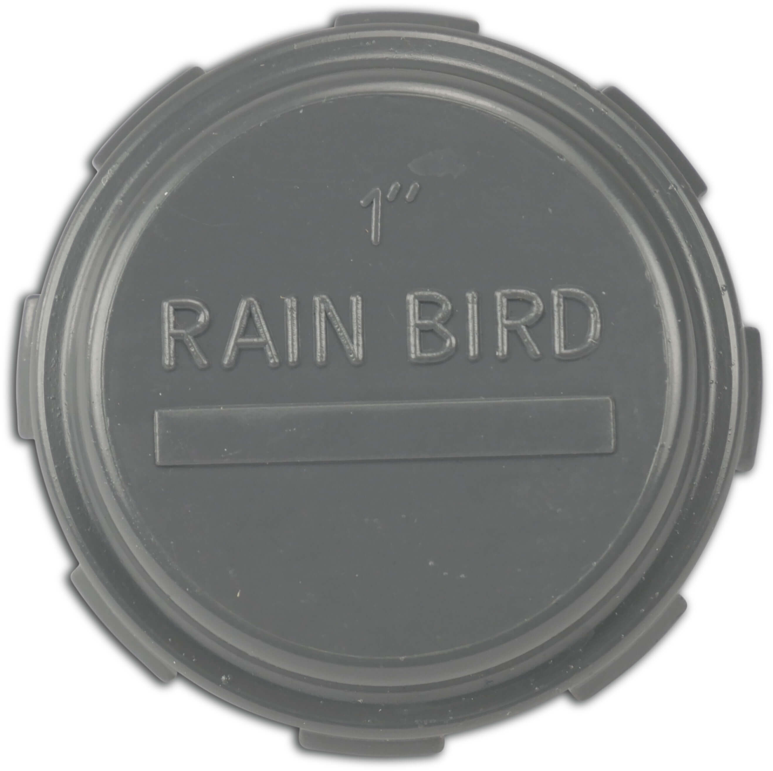 Rain Bird Eindkap PVC binnendraad 10bar grijs S1