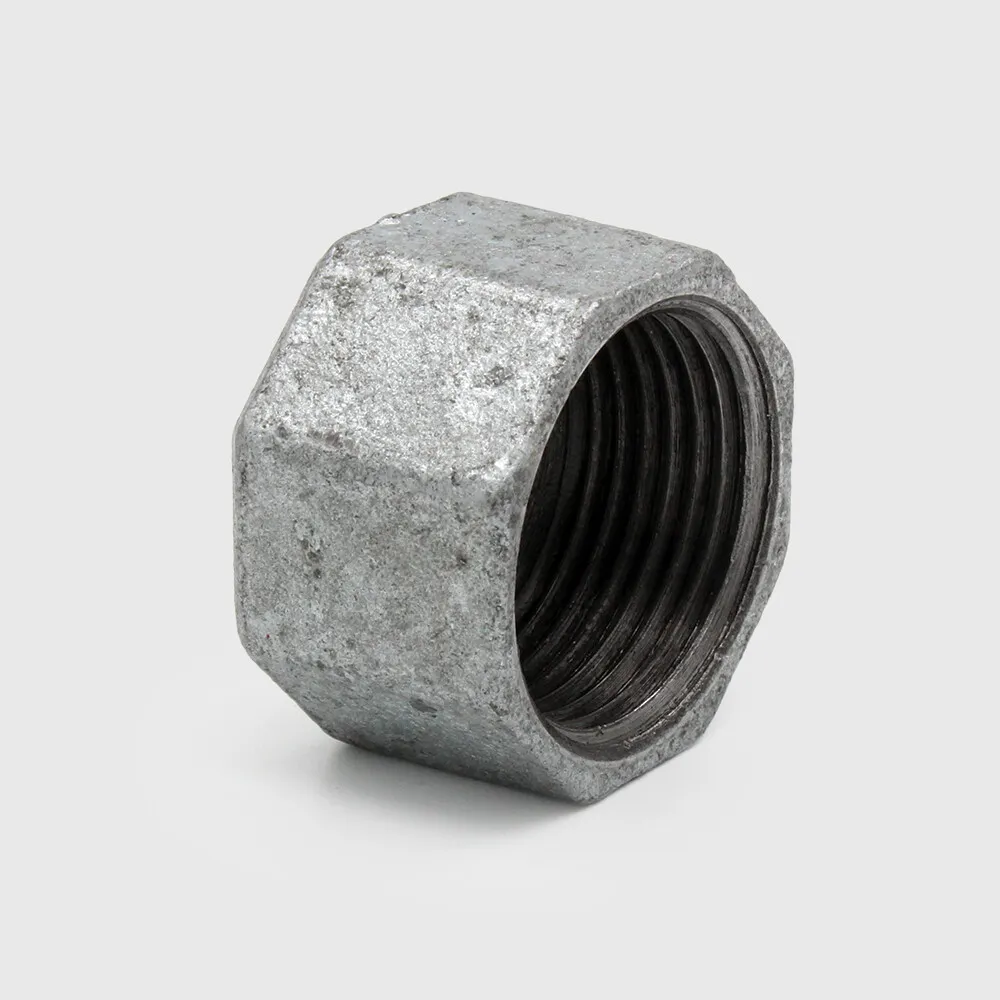 Profec Nr. 300 Hexagon cap cast iron galvanised 2" female thread 25bar DVGW