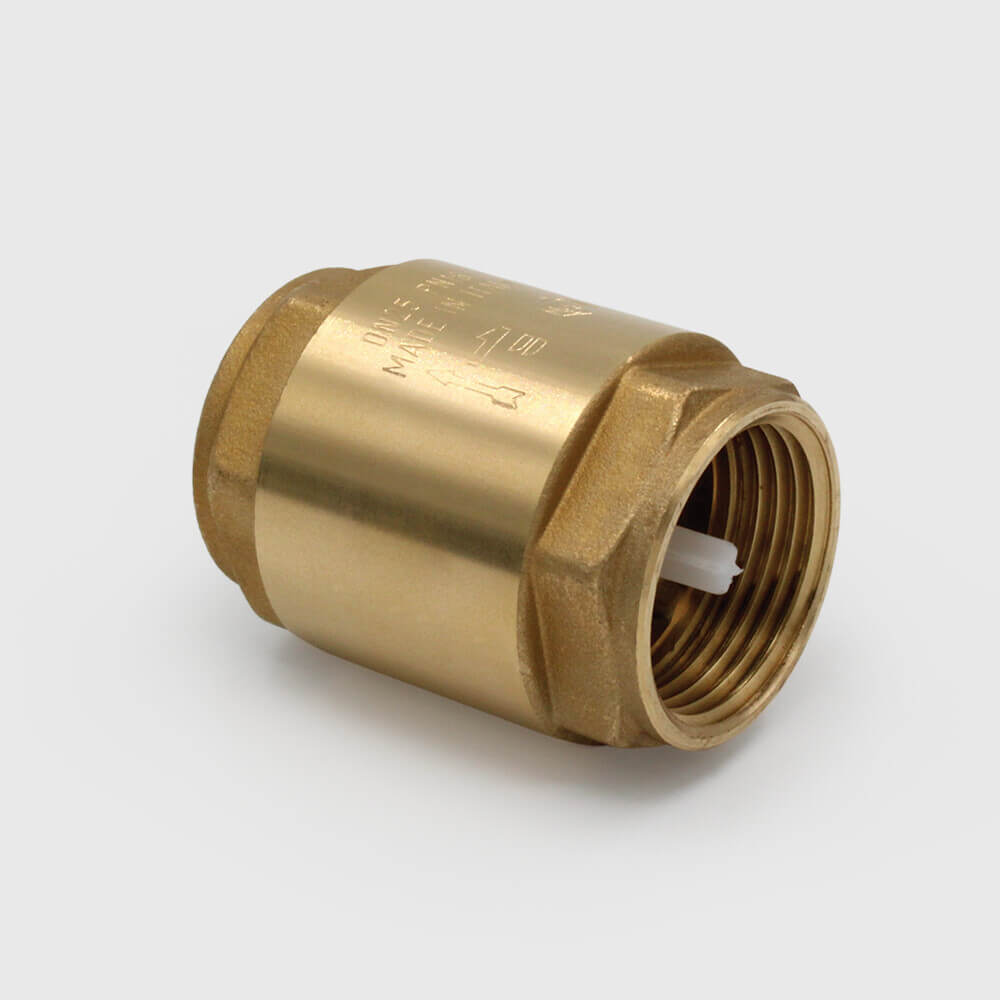 Profec Soupape anti-retour équilibrée par ressort laiton 1 1/2" filetage femelle 10bar type 5