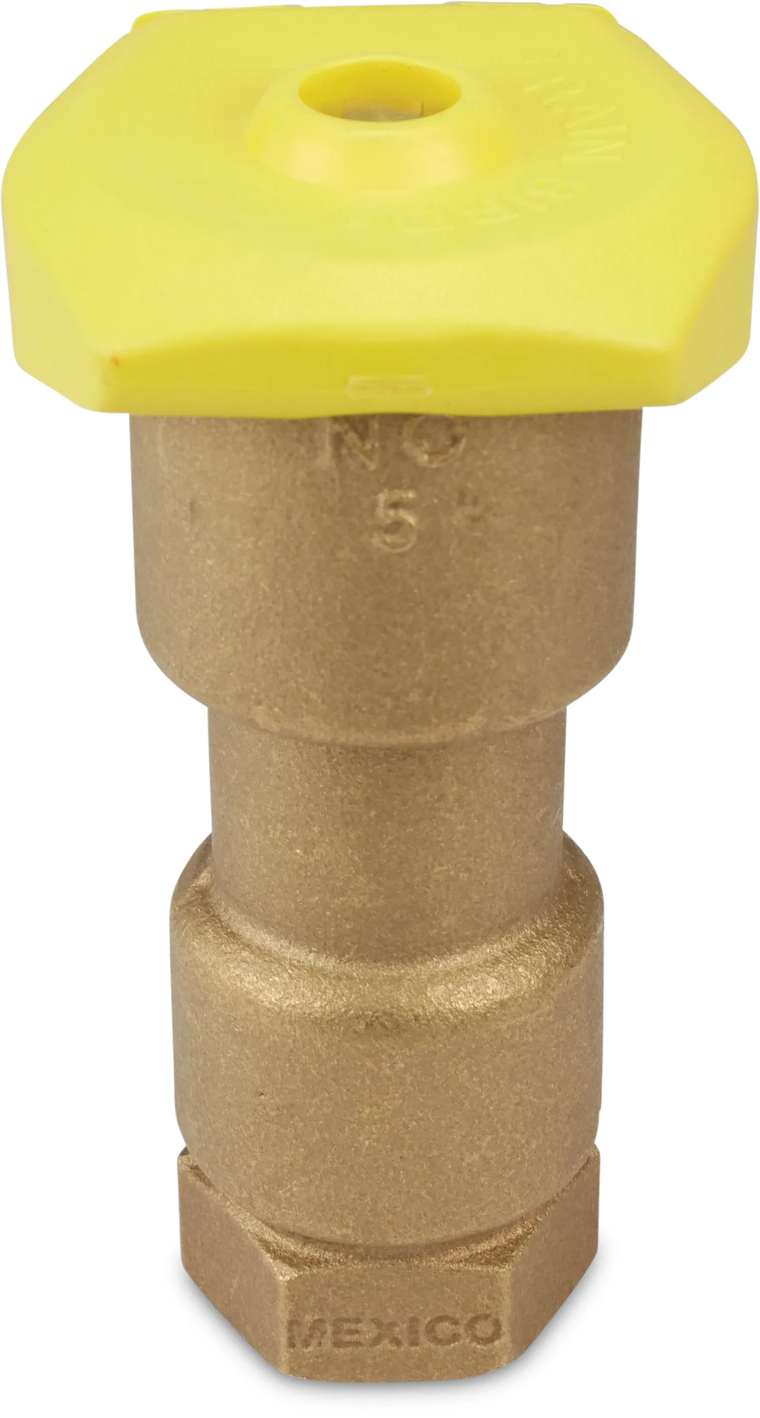 Rain Bird Riser valve brass 1" female thread 8,63bar type 5LRC