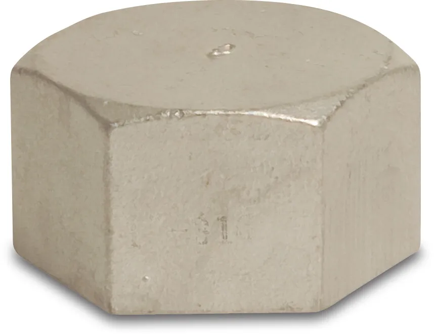 Nr. 300 Dop RVS 316 1" binnendraad 10bar type achthoek S1