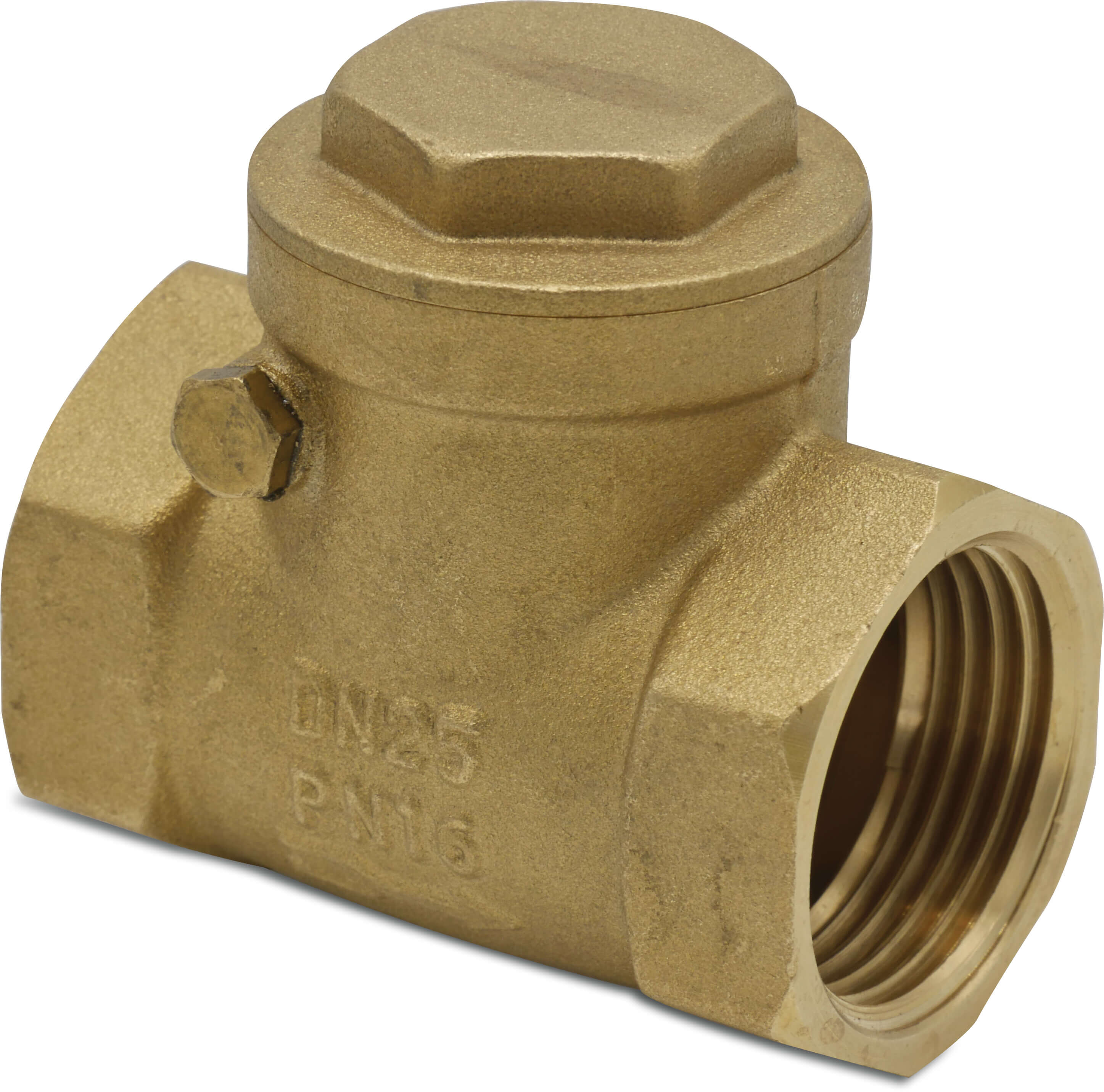 Profec Non return valve brass 1/2" female thread 16bar DN15 type 790