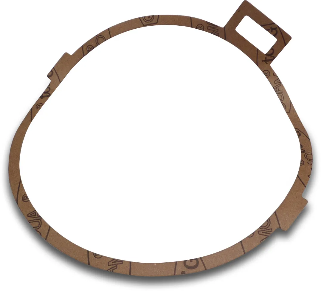 Foras Dichtung des Pumpengehäuses für KB400-550