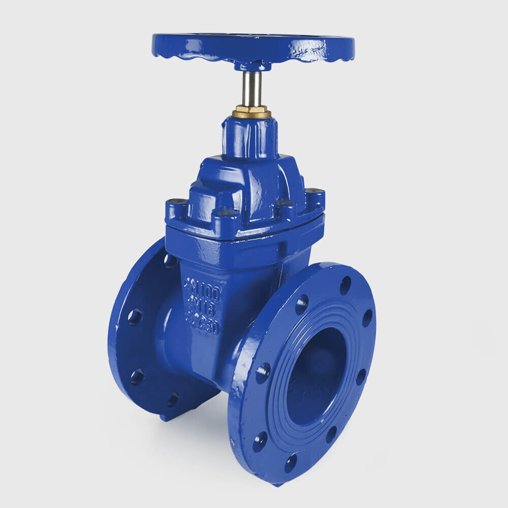 Profec Gate valve cast iron GGG 50 epoxy coating DN50 DIN flange 16bar blue PN10/16 type 302
